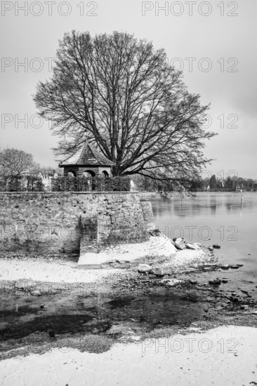 The island channel on the banks of Lake Constance, Dominican Island, black and white photography,