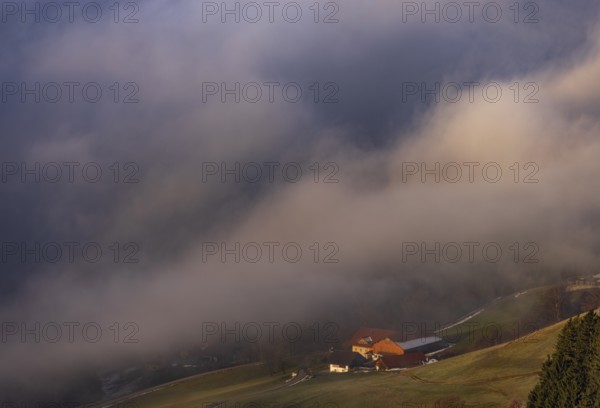 Agricultural landscape with farms rising out of a sea of fog, inversion weather, Mondseeland,