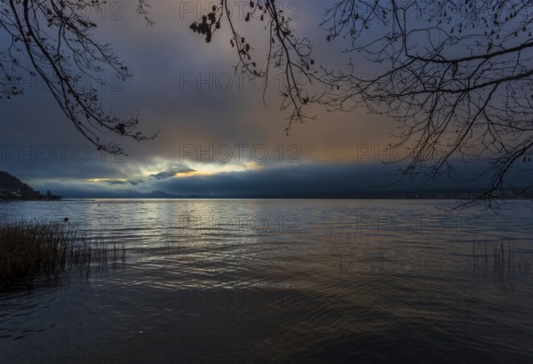 Quiet morning atmosphere at sunrise on a lake with reeds in the foreground, Mondsee, Salzkammergut,