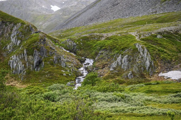 Highlands with a small waterfall and lush vegetation between rocky slopes, Berlevåg, Finnmark,