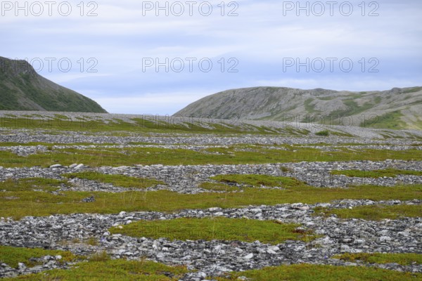 Old beach walls with a mix of grass and rocks under a cloudy sky, Store Molvik, Berlevåg, Finnmark,