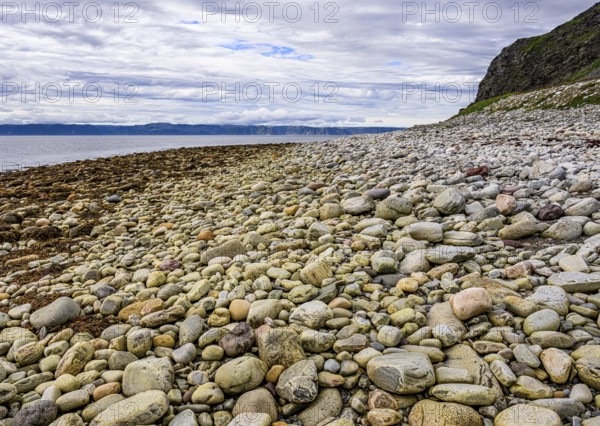 Beach with pebbles and rocks along the coast under slightly cloudy skyStore Molvik, Berlevåg,