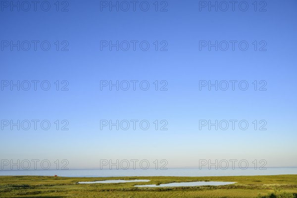Clear blue sky over extensive moorland with shallow moor lakes on the coast of the Barents Sea on