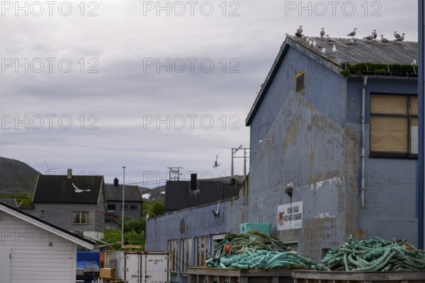 Industrial building Fishing building for processing king crabs (Paralithodes camtschaticus) with