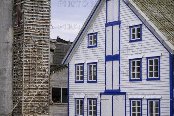 A traditional building with blue and white accents and a striking façade is seen next to an