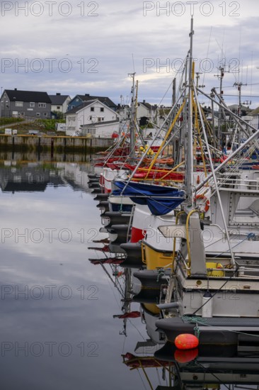 Fishing boats Fishing vessels are moored in Berlevag harbour in the north of the Varanger Peninsula