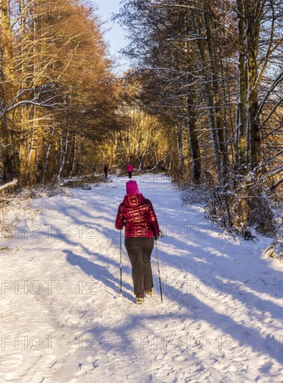 Fresh snow in the city, hikers in winter in the middle of the fields in Berlin Lübars, a district