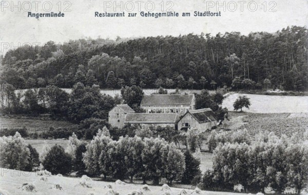 Angermünde, restaurant am Stadtforst, district of Uckermark in the state of Brandenburg, Germany,
