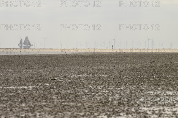 A sailing ship sails in the distance, while wind turbines in the quiet coastal landscape can be