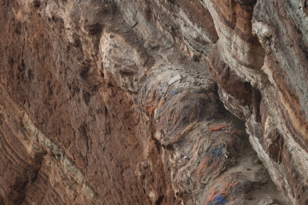 A rocky coastal area with abandoned nests of a gannet colony (Sula bassana) made of various