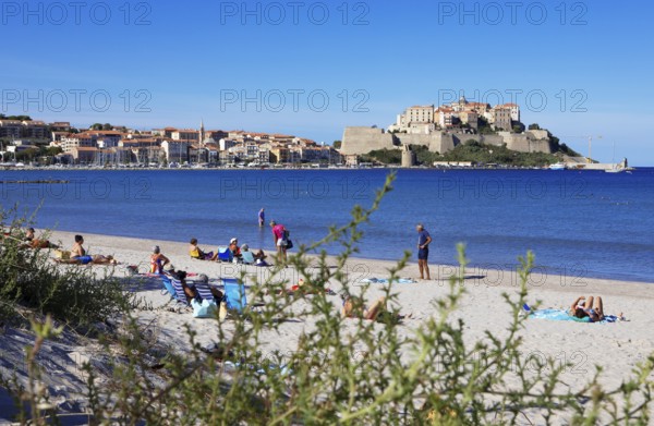 Calvi beach, back the citadel, Balagne, Haute-Corse department, Corsica, France