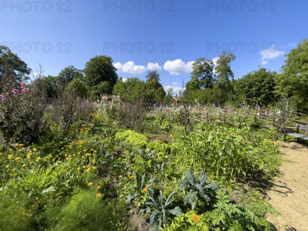 A path along the colorful cottage garden of the famous botanist and taxonomist Carl von Linne with