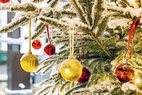 Christmas tree in the snow. The decorative glass balls are covered with hoarfrost. Westerheim,