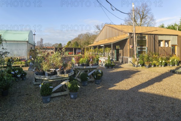 Swann's nursery garden centre, Bromeswell, Woodbridge, Suffolk, England, UK 30 Dec 2025