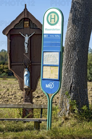 MVV bus stop at a traditional field cross, wayside cross, bench and oak (Quercus) in a field,