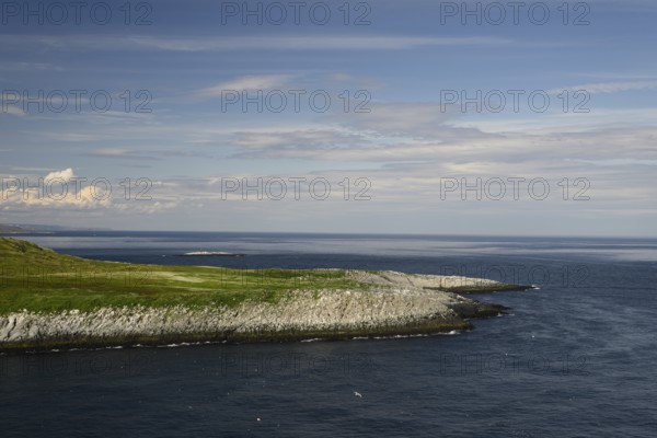 Coast with green vegetation and blue sea on the Barents Sea Varangerfjord under a wide sky with