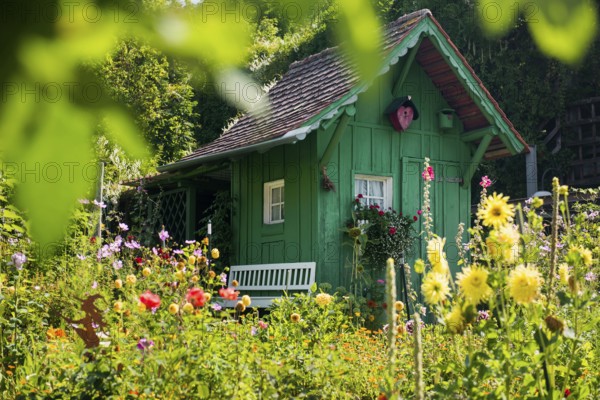 Green garden shed and summer flower garden, allotment garden, Meersburg, Lake Constance,