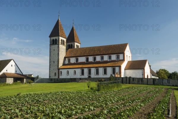 Collegiate Church of St. Peter and Paul and Gemüsefeld, Niederzell, UNESCO World Heritage Site,