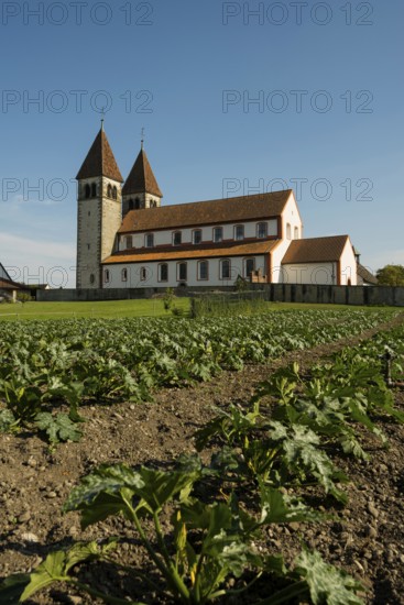 Collegiate Church of St. Peter and Paul and Gemüsefeld, Niederzell, UNESCO World Heritage Site,