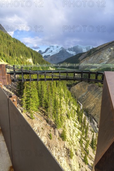 Glass bottom skywalk extending over sunwapta valley, offering views of athabasca glacier in jasper