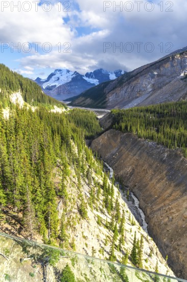 Breathtaking view from the glass floored skywalk extending over the sunwapta valley, revealing the