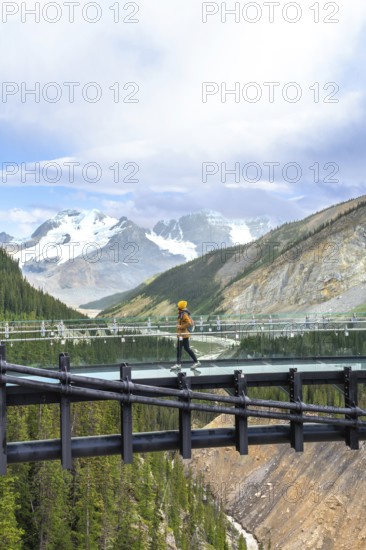 Tourist walking on a glass skywalk, taking in stunning views of the athabasca glacier and the