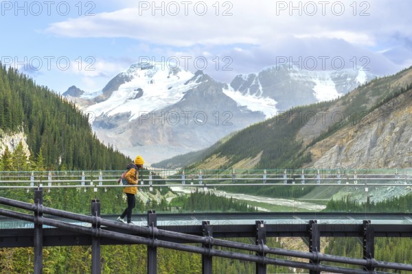 Tourist enjoying the breathtaking view from the glass skywalk over the sunwapta valley with the