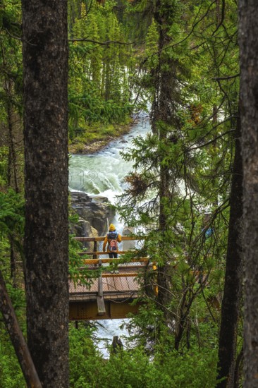 Tourist wearing a yellow jacket and backpack standing on a wooden bridge admiring the sunwapta