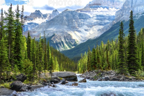 Turquoise water rushing through mistaya canyon in banff national park, alberta, is framed by lush