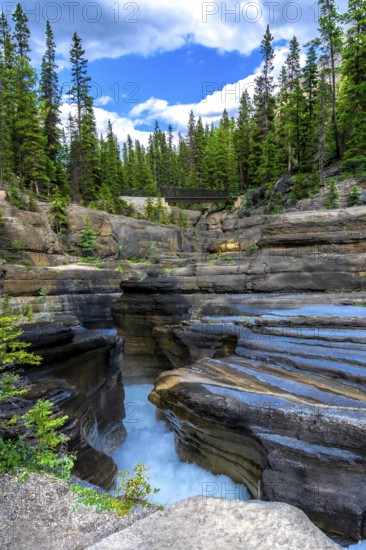 Water flowing powerfully through mistaya canyon carves layered rock formations, surrounded by lush