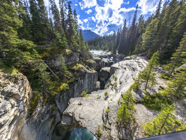 Flowing turquoise waters of mistaya canyon carve through a narrow gorge, surrounded by lush