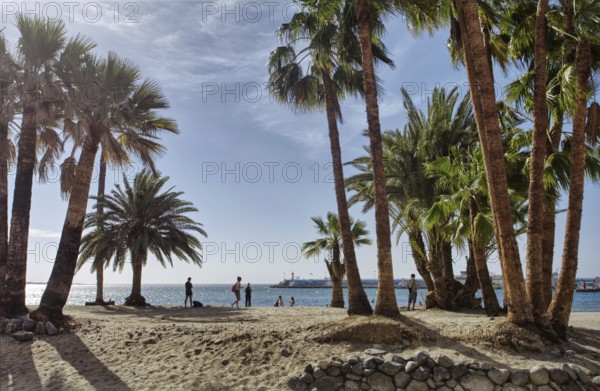 Scenic tropical beach landscape with palm trees, people and a calm sea under clear skies, Los