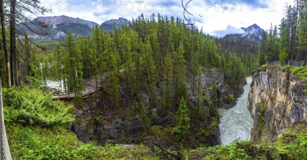 Sunwapta falls cascading through a rugged canyon, surrounded by lush forests and majestic canadian