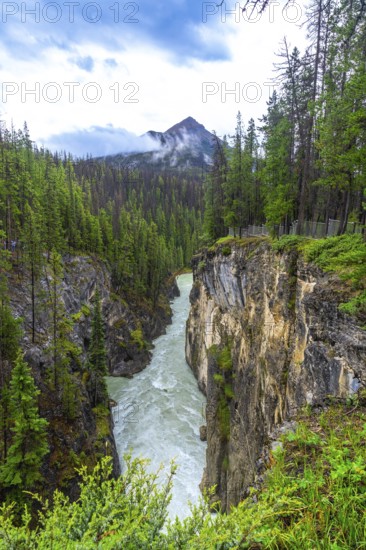 Sunwapta falls rushes through a narrow canyon surrounded by lush pine forest and a mountain peak