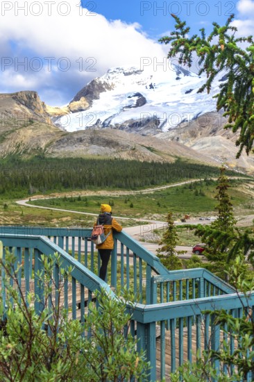 Tourist standing on a wooden stairway, admiring the stunning view of athabasca glacier in jasper