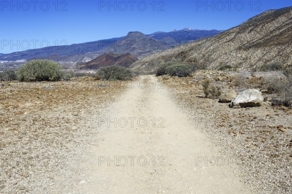 A dry, rocky path stretches through a barren, mountainous volcanic landscape, Los Cristianos