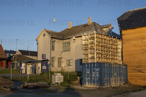 Building with nesting boxes for kittiwakes (Rissa tridactyla) made of old fishing boxes and flying