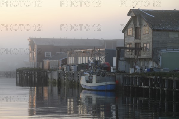 A quiet harbor in morning fog with boats and wooden houses reflecting in the water, Vardø,
