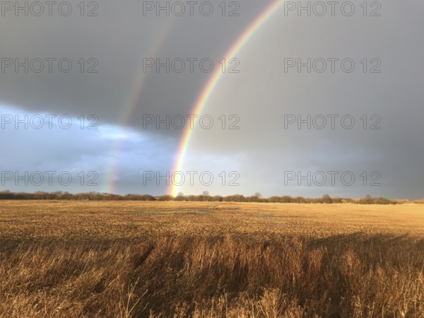 A double rainbow over a brown wet meadow wet grassland under a cloudy sky in warm light, Dümmer
