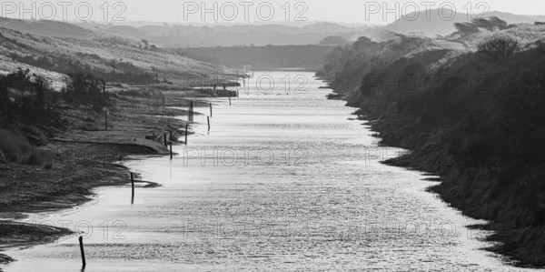 A calm branch of water in a foggy monochrome dune landscape at dusk, Amsterdamse