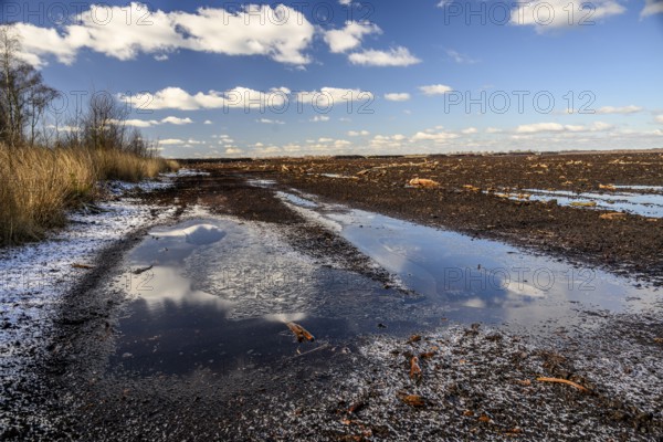 Peated hoochmoor black peat in cloudy skies with earthy colors and natural texture, Diepholzer