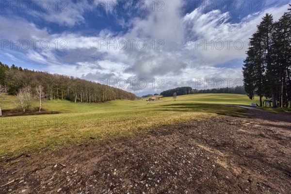 Hilly landscape, hills, coniferous forest, meadow, trees, cloud shadows, blue sky, cumulus clouds,