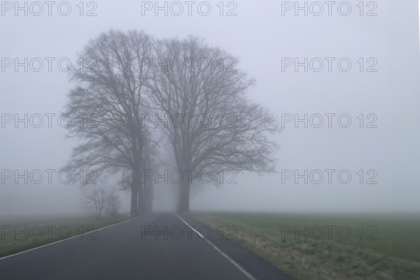 Driver's perspective view of foggy, foggy country road in thick fog in winter, Germany
