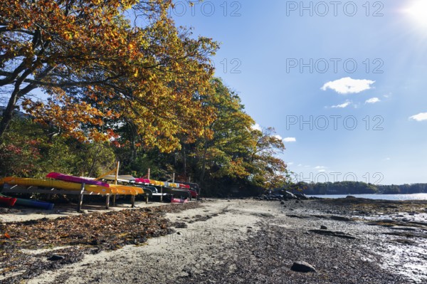 Wooded coastline, rocky beach, low tide, colorful kayaks on wooden frame, Indian summer, blue sky,