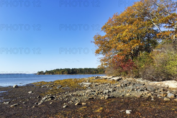 Wooded shoreline, rocky beach, low tide, Indian summer, blue sky, campground, sustainable farm in