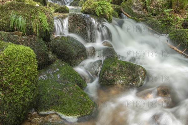 Water in a stream flows across moss-covered rocks. The scene is set in the forest in spring, with