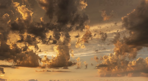 A brilliant sunset casts warm colors across a cheerful meadow. Dark clouds dominate the sky, while