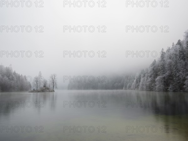 View across Königssee to Christlieger Island and frozen trees in fog, Schönau am Königssee,