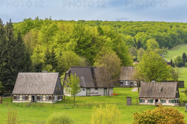 Historic houses with half-timbered timber and shingles under trees in the Seiffen open-air museum,