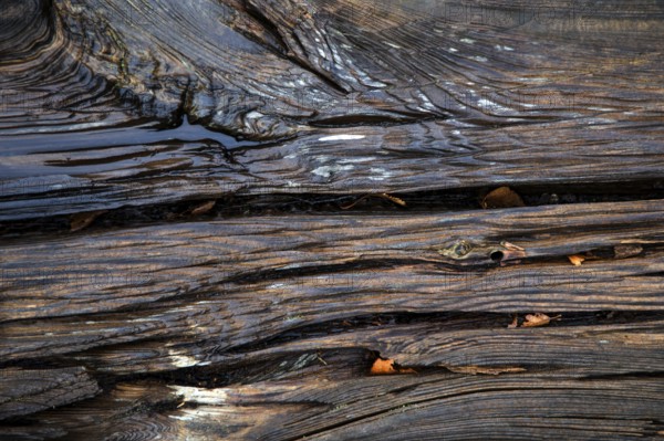 Old weathered railway threshold, detail photo, near Bresewitz station, near Zingst,